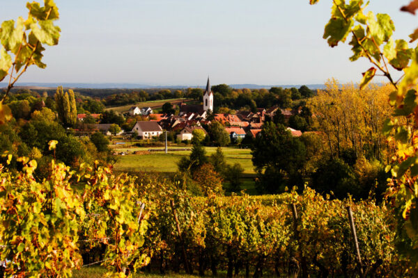 image_bourgogne.jpg